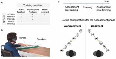 Audio Feedback Associated With Body Movement Enhances Audio and Somatosensory Spatial Representation